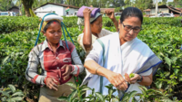 <i class="tbold">Mamata Banerjee</i> meets small tea growers amidst crisis