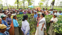 Bengal CM joined tribal community for dance