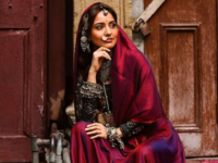 Rajasthani saris and <i class="tbold">dupattas</i>