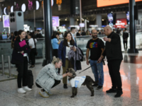 Meet <i class="tbold">kuki</i> and Alita: Istanbul airport's furry stress-relievers