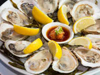 ​​<i class="tbold">oyster</i>s​