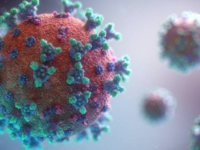 ​Is B virus infection fatal?​