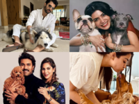 Celebrity pets Telugu film stars and their furry friends