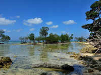 Dugong Creek, <i class="tbold">andaman and nicobar islands</i>