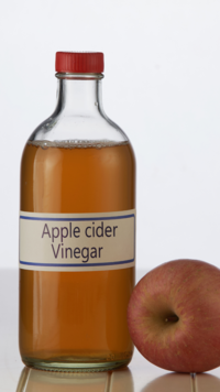 ​<i class="tbold">apple cider</i> vinegar spray