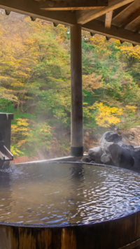 ​Onsen (Hot spring baths)