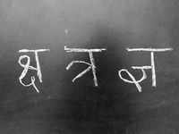 <i class="tbold">hindi</i>