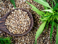 ​Let’s decode the nutritional profile of <i class="tbold">hemp</i> seeds​