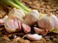 <i class="tbold">health benefits</i> of Garlic