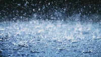 ​Above-normal rainfall expected