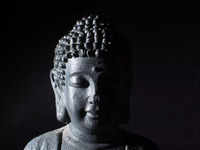 <i class="tbold">buddha</i>'s timeless teachings