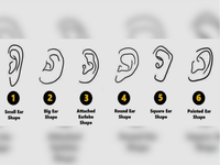 What is the hush about the ear shape <i class="tbold">personality test</i>?
