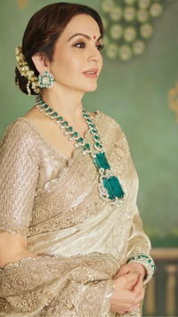 The ivory-hued <i class="tbold">sari</i>