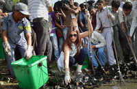 New pictures of <i class="tbold">yamuna cleaning</i>