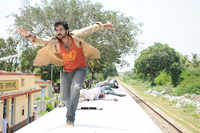 Check out our latest images of <i class="tbold">alex pandian</i>