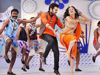 New pictures of <i class="tbold">ongole githa</i>