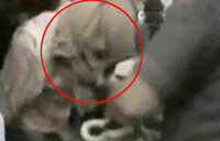 Bihar Rape Videos | Latest Videos of Bihar Rape - Times of India