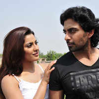 Click here to see the latest images of <i class="tbold">dil tainu karda ae pyar</i>