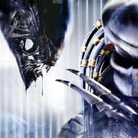 See the latest photos of <i class="tbold">Aliens vs. Predator (video game)</i>