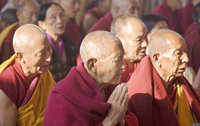 New pictures of <i class="tbold">buddhist monks</i>