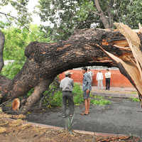 Trending photos of <i class="tbold">sudden strike</i> on TOI today