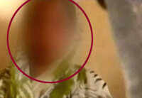 Women Gang Raped Videos | Latest Videos of Women Gang Raped ...