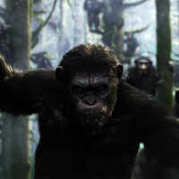 Dawn of the <i class="tbold">planet of the apes</i>
