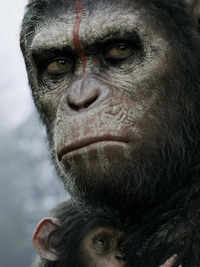 Dawn of the <i class="tbold">planet of the apes</i>