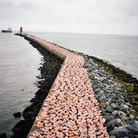 See the latest photos of <i class="tbold">spencer tunick</i>