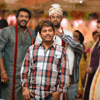 New pictures of <i class="tbold">rabhasa</i>
