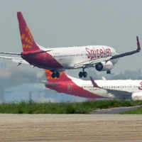 Click here to see the latest images of <i class="tbold">spicejet pilot</i>