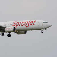 Click here to see the latest images of <i class="tbold">spicejet pilot</i>