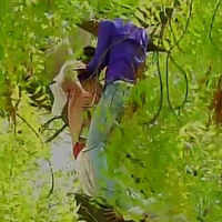 See the latest photos of <i class="tbold">farmers committed suicide in mp</i>