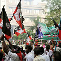 Check out our latest images of <i class="tbold">jayalalithaa government</i>
