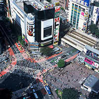 Check out our latest images of <i class="tbold">shibuya</i>