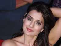 When Ameesha Patel lost her cool on the media