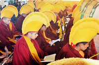 Check out our latest images of <i class="tbold">buddhist monks</i>