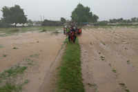 Check out our latest images of <i class="tbold">gujarat monsoon</i>
