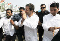 See the latest photos of <i class="tbold">congress vice president rahul gandhi</i>