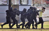 Check out our latest images of <i class="tbold">nsg commandoes</i>