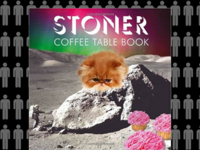 The stoner friend