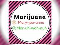 <i class="tbold">marijuana</i>