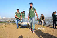 Check out our latest images of <i class="tbold">dadar beach</i>