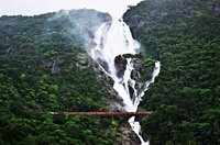 Check out our latest images of <i class="tbold">dudhsagar waterfalls</i>