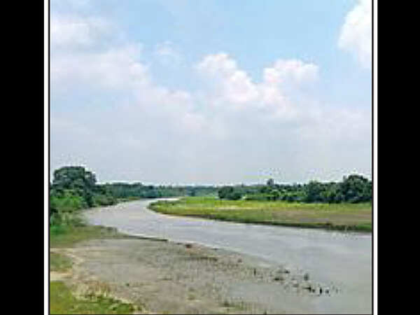 Asian shemale in Haora