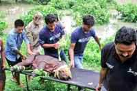 New pictures of <i class="tbold">assam killings</i>