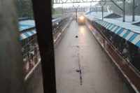 See the latest photos of <i class="tbold">waterlogging and traffic jams</i>