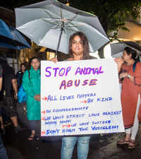 <i class="tbold">animal rights</i> activists protest over gruesome dog beating