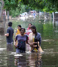 New pictures of <i class="tbold">bihar floods</i>