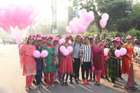 See the latest photos of <i class="tbold">pink ribbon walk</i>